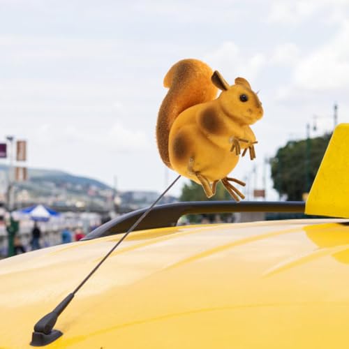 Decoración de techo de coche universal PRETYZOOM con divertida figura de ardilla 3