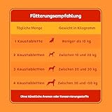 Probiotika Hund - (135 Verdauungssnacks + 9 Milliarden KBE) - Natürliches Supplement bei Durchfall für Verdauung & Darmflora