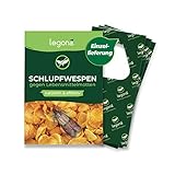 Legona® - Schlupfwespen gegen Lebensmittelmotten / 3X Trigram-Karte à 1 Lieferung/Effektive & Biologische Bekämpfung von Motten in Lebensmitteln/Alternative zu Mottenspray und Mottenkugeln