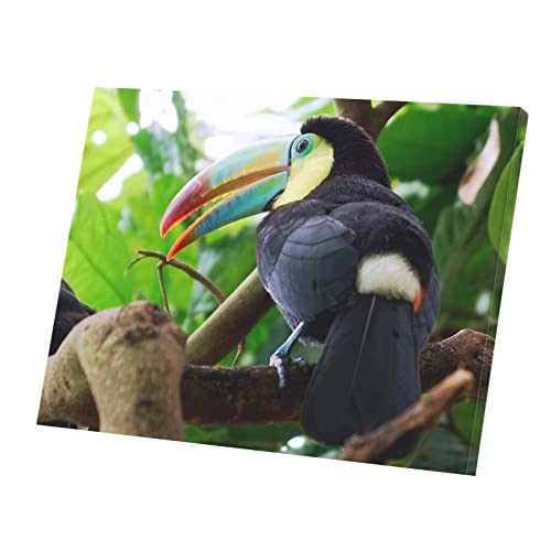Affiche Toucan de la Jungle Toile Nature pour un Salon Exotique