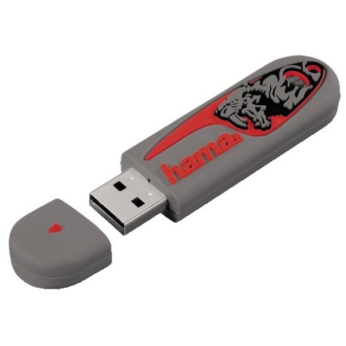 Clé USB Tigre 1 Go Hama pour ne plus jamais perdre vos documents administratifs