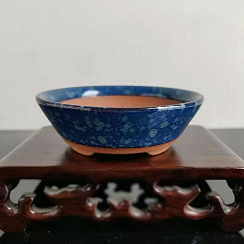 PAYNAN Kleine Bloempot Ondiepe Geglazuurde Bloempotten Desktop Landscaping Tuin Decoratie