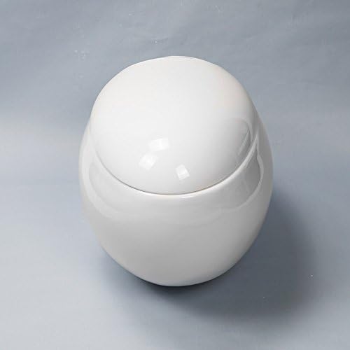 WC suspendu design blanc œuf - cuvette murale élégante vue de face