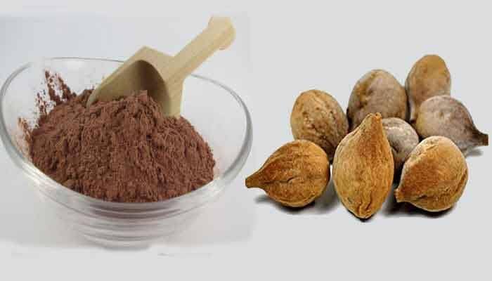 AYURVEDIC ZONE Bahera - Baheda - Bibhitaki - Terminalia Bellirica - बहेड़ा (Whole, 200 Gm)-image-9
