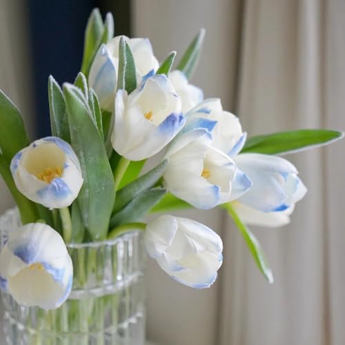 Bulbi di tulipano perenni resistenti - giardino roccioso, appartamento, 2pcs