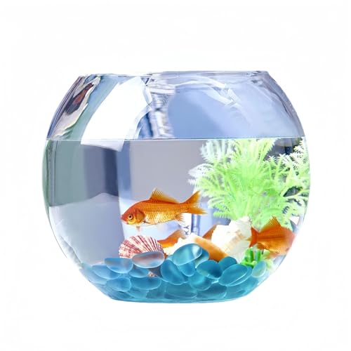 KOTOBUKI 40cm ガラス水槽 水槽セット レグラス 水槽 40」の人気商品