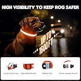 Hundehalsband Leuchtend USB Aufladbar - Leuchthalsband Hund 7 RGB Farbwechsel mit 8 Leuchtmodi, Dickes Verstellbares LED Hundehalsband Wasserdicht für Kleine Mittlere Große Hunde Leuchtendes Halsband