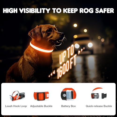 Hundehalsband Leuchtend USB Aufladbar - Leuchthalsband Hund 7 RGB Farbwechsel mit 8 Leuchtmodi, Dickes Verstellbares LED Hundehalsband Wasserdicht für Kleine Mittlere Große Hunde Leuchtendes Halsband