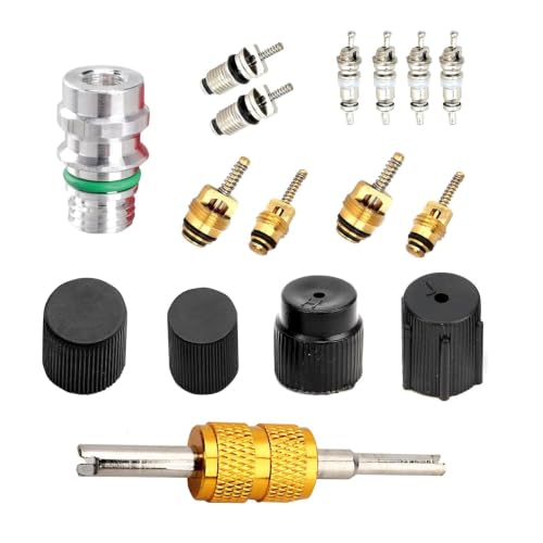 Pouzorc 16 PCS Car Air Condition Valve Core Kit, R134a AC System Port High & Low Pressure Cap & Service Valve, Sealing HVAC AC Duct Maintain Accessories, for Most Cars Trucks SUVs (Black)