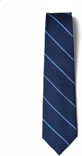 Young Arrow Men's Stripe Microfiber Necktie | Formal Tie for Office, Wedding & Party | Elegant Striped Pattern | Business,...