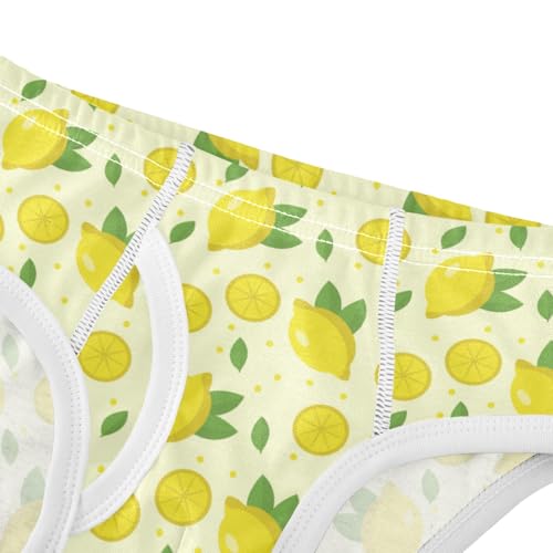 Boys' Exclusive Briefs Toddler Underwear 95% Combed Cotton Boxerbriefs 2T Lemon Pattern 734