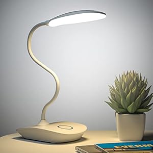 DEEPLITE Battery Operated Desk Lamp, LED Desk Light 3 Lighting Modes Stepless Dimming, Table Lamp 5W Touch Control Eye Caring, Flexible Gooseneck, Portable Reading Light for Dorm Study Office Bedroom