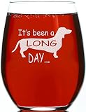 CARVELITA It's Been A Long Day 15oz Engraved, Sarcastic Gifts For Best Friends, Cute Funny Stemless