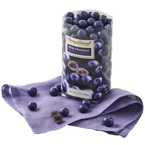 Harry & David Milk Chocolate-Covered Blueberries Gift Basket – Includes Handcrafted Milk Chocolate Blueberries In A Gourmet Box, All Occasions, Family, Friends, Loved Ones, Gatherings