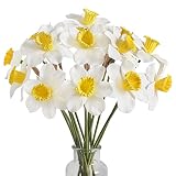GTIDEA 12pcs Daffodils Artificial Flowers Spring Fake Daffodils Flowers White Real Touch Flowers Sil