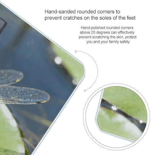 Báscula digital Dragonfly con pantalla LCD grande y alta precisión miniatura 4