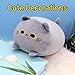 Desdfcer Kuscheltier Katze 18CM Graue Katze Plüschtiere, Kuschelige weiche Kissen für Kinder, Jungen und Mädchen, Wohnkultur