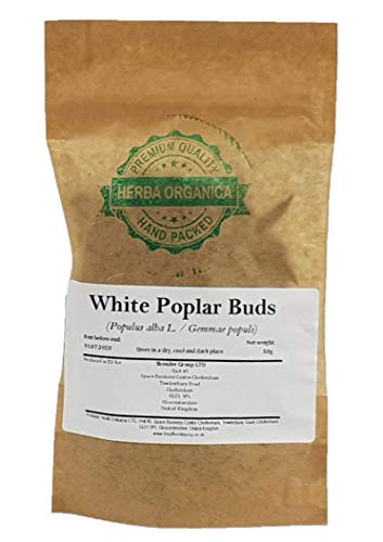 Bourgeons de peuplier blanc tisane pour apaiser les gorges irritées en hiver