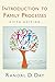 Introduction to Family Processes: Fifth Edition -  Day, Randal D., 5th Edition, Hardcover