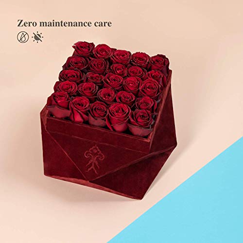 Premium Roses| Real Roses That Last 365 Days | Real Flowers| Roses in a Box (Burgundy Box, Large)