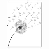 Art nordique noir blanc flottant volant pissenlit fleur graines plantes toile peinture pour salon chambre mur affiche photo décoration de la maison