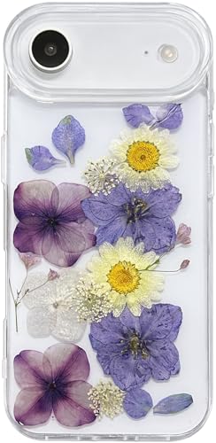 Coque iPhone Air fleur séchée transparente fine antichoc TPU