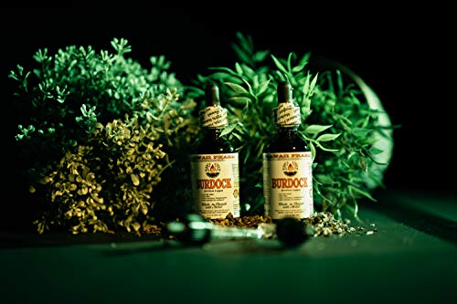 HawaiiPharm Burdock Alcohol-Free Liquid Extract, Organic Burdock (Arctium Lappa) Dried Root Glycerite 2 oz