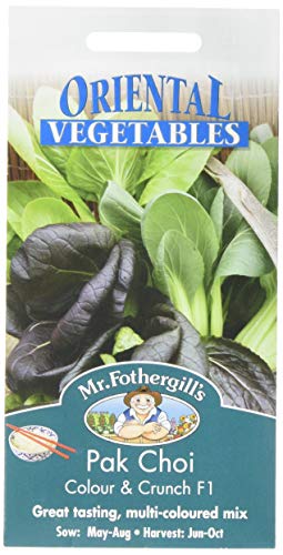 Mr Fothergill's 19509 PAK Choi Colour & Crunch F1