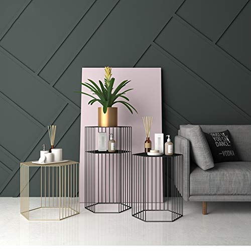 Stylish Simplicity Hexagonal Plant Stand/Flower Stand/Shelf, Creative Iron Art Fence Section Living Room Bedroom Study Balcony Outdoor Flower Pot Shelf, Lsxysp, Black, 3865Cm #TOP3