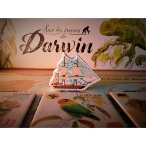 SUR LES TRACES DE DARWIN - vue 6