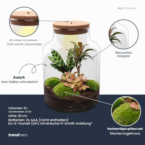 Foto von urbanjngl.com - Milky Palm - Flaschengarten mit Licht - DIY Terrarium mit Pflanzen im Glas - Ø 21 cm ↑ 30 cm No