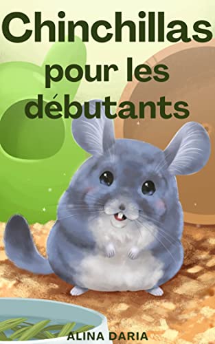 Chinchillas pour les débutants
