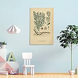 Los lienzos son una de las últimas tendencias en la decoración de interiores moderna y una forma moderna de iluminar las paredes de los hogares. La claridad y el color perfectos de la imagen son ideales para decorar hogares.
