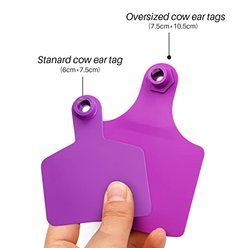 LIUCOGXI 100 conjuntos de etiquetas de orelha de gado em branco grandes etiquetas de orelha de vaca