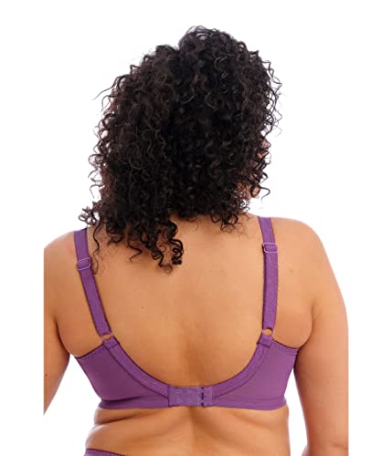 Image of Elomi Charley Underwire Bandless Spacer Molded Bra