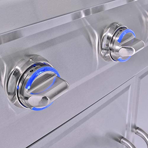 3 Embers 6 Burner Stainless Steel Dual Fuel Propane Gas Grill #TOP2