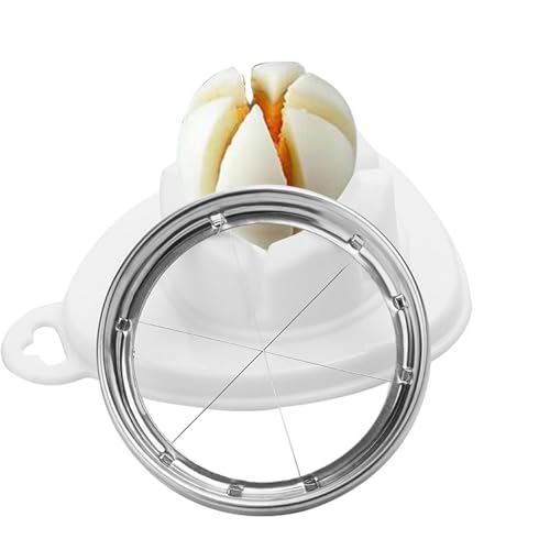 łŗXCT[ - ŗpXCT[ | XeXX`[ŗJb^[ GbOXCT[ łŗp ړIGbOJb^[ ŗp Lb`XCT[c[ C`Sp