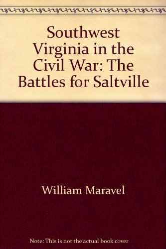 Southwest Virginia in the Civil War: The Battles for Saltville