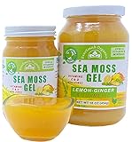 Organic Sea Moss Gel (8 Flavors) - 16 Ounce - Real Fruit - Wildcrafted Sea Moss (Raspberry, Pineapple Mango, Strawberry, Lemon-Ginger, Apple, Berry Mix, Elderberry) (Lemon-Ginger/Turmeric)