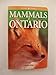 Mammals of Ontario