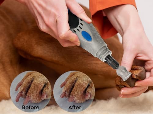 for-Dremel-Dog-Nail-Grinder-Diamond-Bits-Attachment-for-Dog-Nail-18-Painless-Nail-Grinder-Bits-Wont-Pull-Hair-or-Get-Hot-for-Large-Medium-Small-Dogs-and-Cats-Paws-Grooming - Cucciolini Doodles for-Dremel-Dog-Nail-Grinder-Diamond-Bits-Attachment-for-Dog-Nail-18-Painless-Nail-Grinder-Bits-Wont-Pull-Hair-or-Get-Hot-for-Large-Medium-Small-Dogs-and-Cats-Paws-Grooming