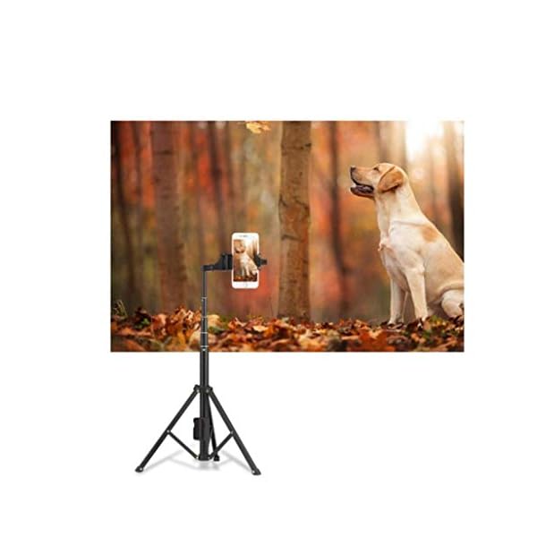 PIVFEDQX Mobiles Fotostativ, Metallhalterung mit Doppelkamera für Live-Streaming/Fotografieren/Videokonferenz… – Bild 7