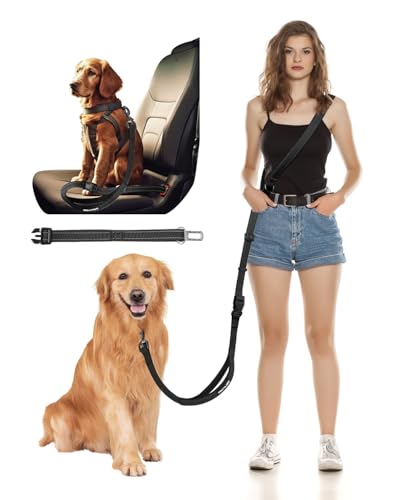 Hands-Free Dog Leash
