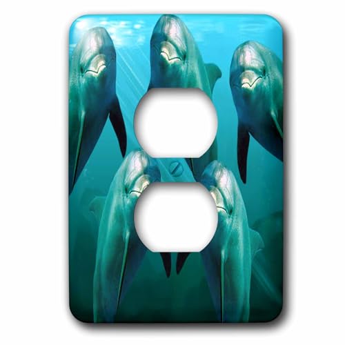 Dauphins 2 prises plaque de finition murale 3dRose lsp_1071_6 pour prise double