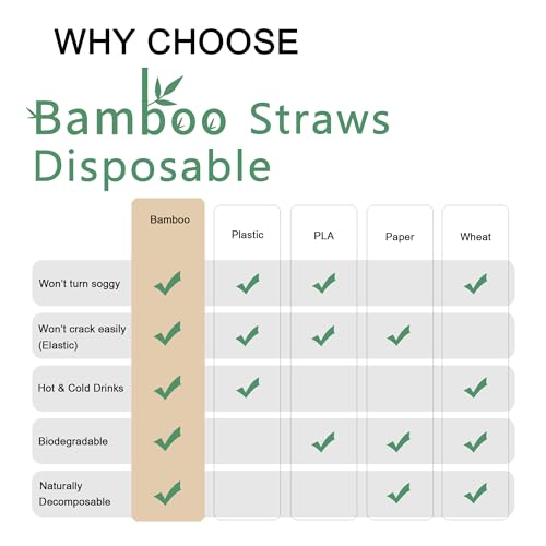 Pitillos biodegradables de bambú, 300 unidades, jumbo 9'' miniatura 7