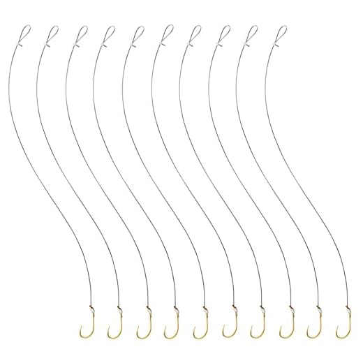 Last Cast Tackle 1/0 - 3/0 Baitholder Fishing Hook with 12" Leader - 10pcs (2/0)