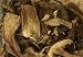 OliveNation Organic Dried Porcini Aa Mushrooms, 4 Ounce