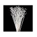 24-28" White Sparkle Curly Ting Ting Branch