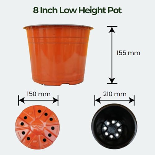 Image of Thermoformed Plastic Flower Pots, Durable, Flexible, Unbreakable, Multiple Drainage Holes, Best for Indoor Plants, Terrace Garden, Nursery (Pack of 10, 8 Inch LH)