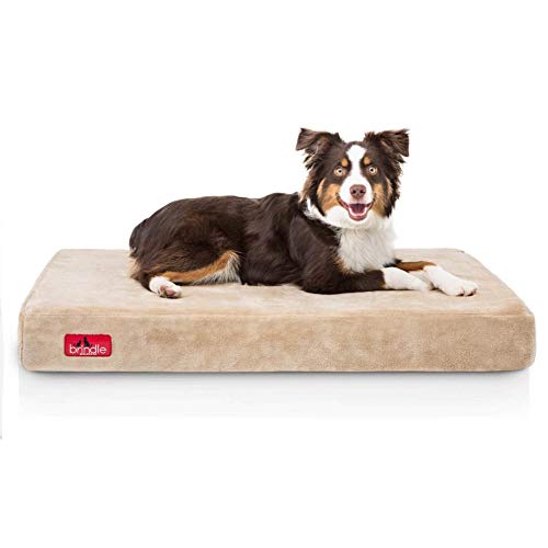 hypoallergenic blankets for dogs